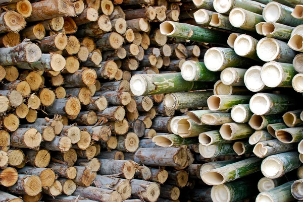 Montón de bambú y madera almacenada —  Fotos de Stock