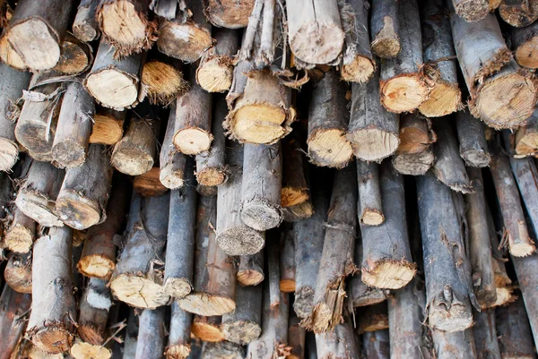Montón de madera en el almacenamiento de troncos —  Fotos de Stock