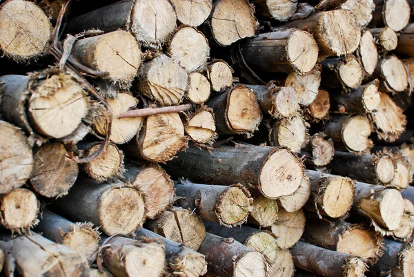 Timeber Odun Yığını Depolama Inşaat Veya Sanayi Doku Arka Plan — Stok fotoğraf