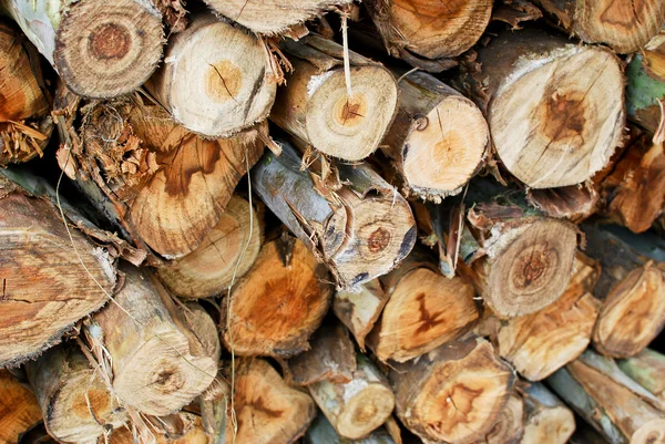 Pile of wood in logs storage closeup — Stock Photo, Image
