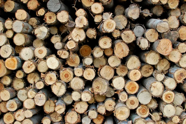 Pilha de madeira em armazenamento de toras — Fotografia de Stock