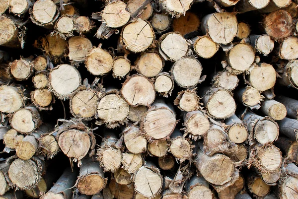 Pile of wood in logs storage — Stock Photo, Image