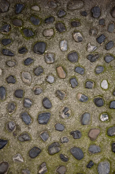 小石の道 — ストック写真