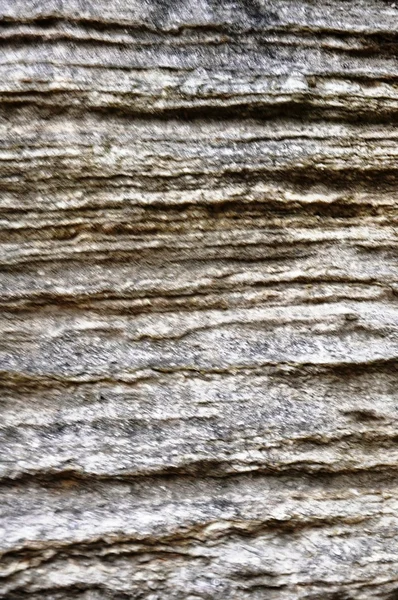 바위 표면 — 스톡 사진