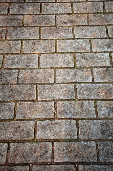 Кам'яний тротуар — стокове фото