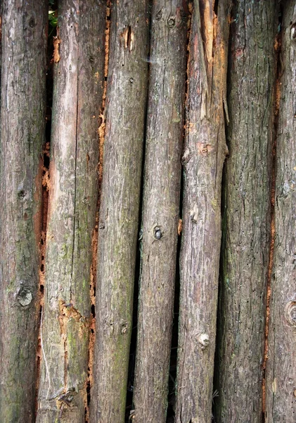 나무 울타리 — 스톡 사진