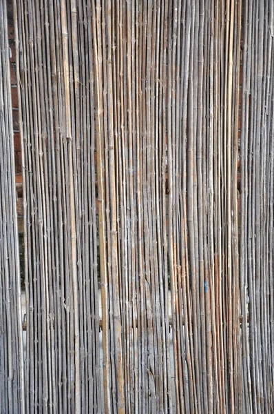 Бамбуковый клаппер — стоковое фото