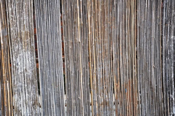 Бамбуковый клаппер — стоковое фото