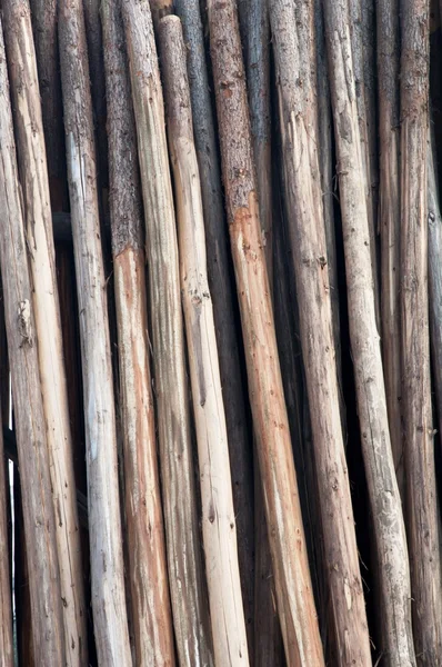 Pilas de madera — Foto de Stock