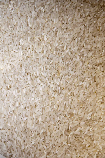 米饭质地 — 图库照片