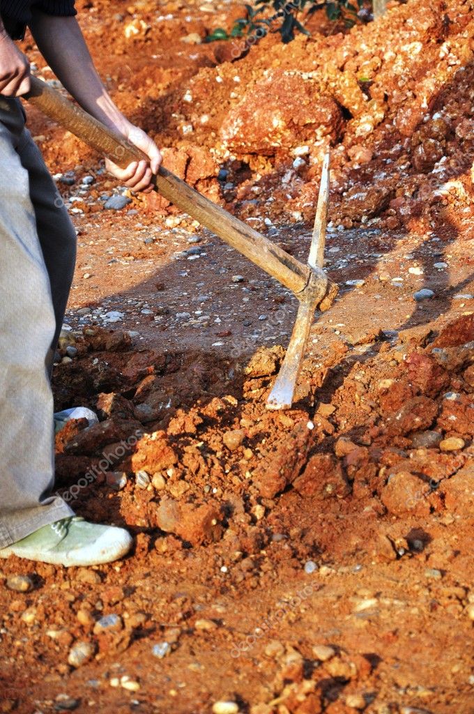 Person Holding Hoe — Stock Photo © flytosky11 #4784426