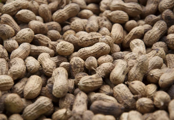 Stock image Fry peanuts