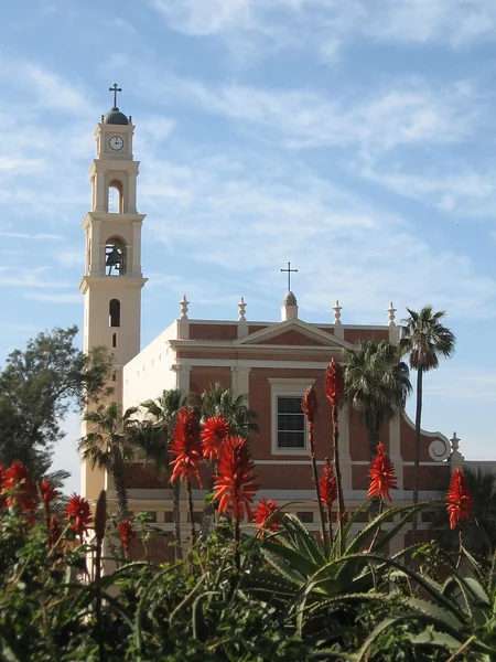 Igreja de São Pedro Jaffa 2008 — Fotografia de Stock