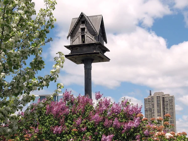 Toronto see vogelhaus 2008 — Stockfoto