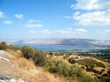 Galilee South shore of Lake Kinneret 2010 clipart