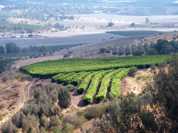 Galilee 2010 — Stock Photo, Image