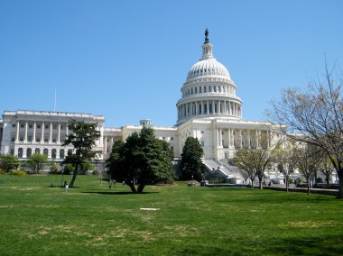 Washington Capitol building April 2010 clipart