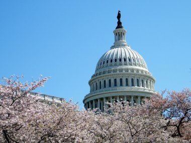 Washington Capitol dome 2010 clipart