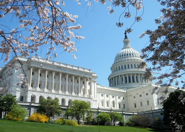 Washington Capitol April 2010 — Stock Photo, Image