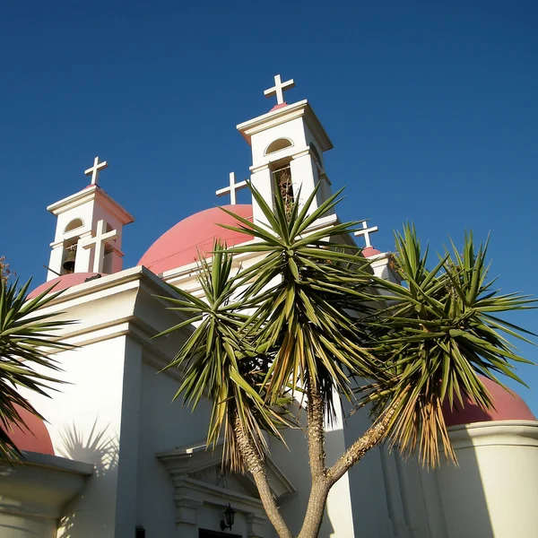 Kapernaum 棕榈树和十字架 2010 — 图库照片
