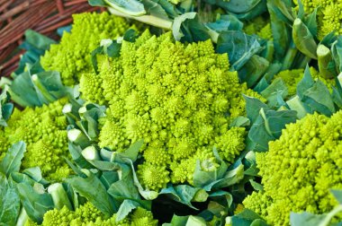 Kale Romanesco clipart