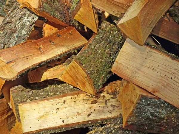 燃料木材 — ストック写真