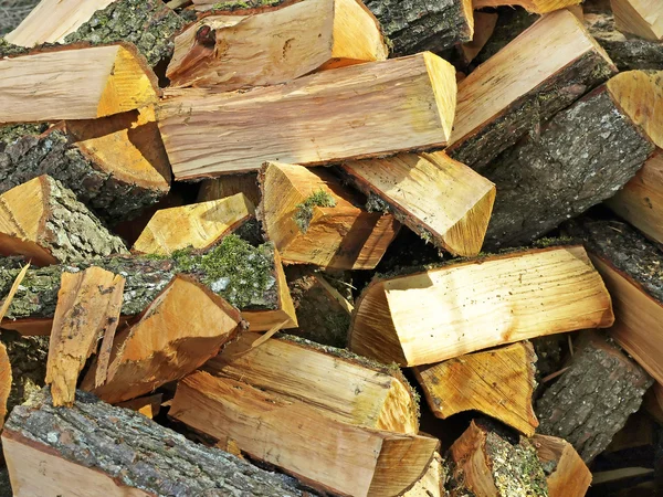 Fuel wood — Stock Photo, Image