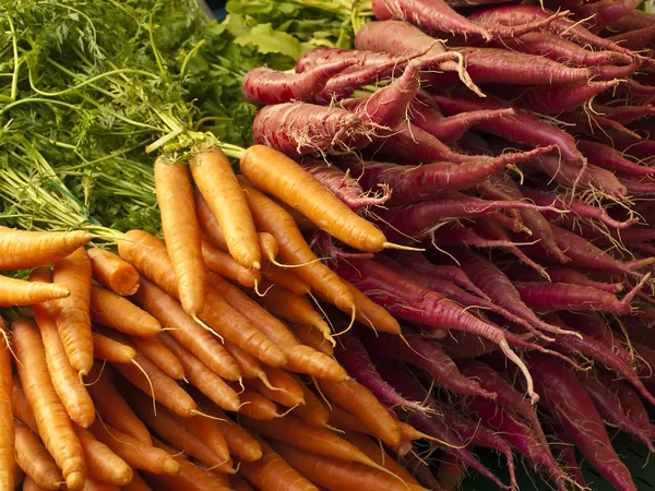 Морковь и редис — стоковое фото