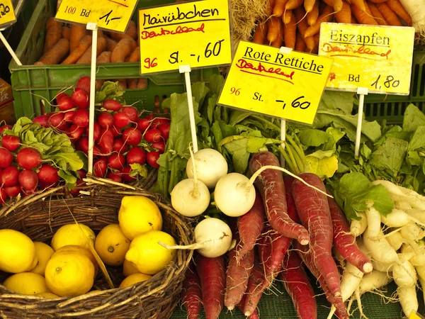 Gemüsevielfalt — Stockfoto
