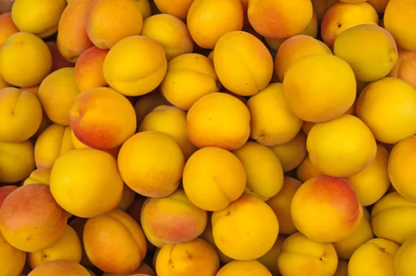 stock image Apricot