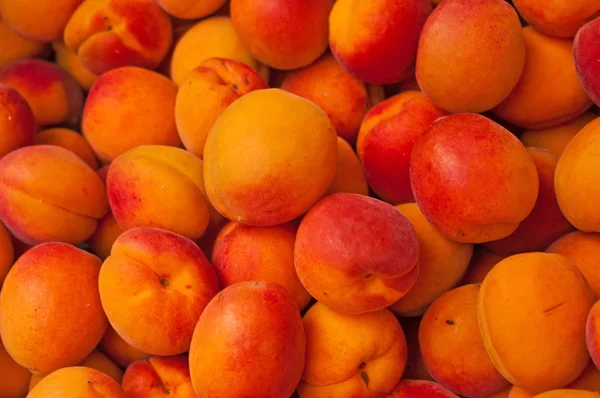 stock image Apricot