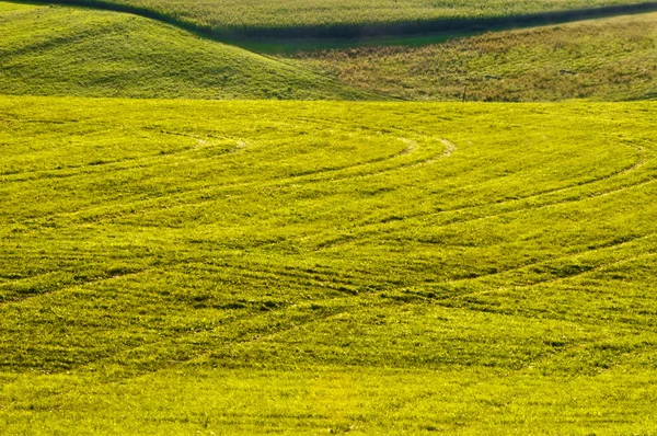 stock image Green