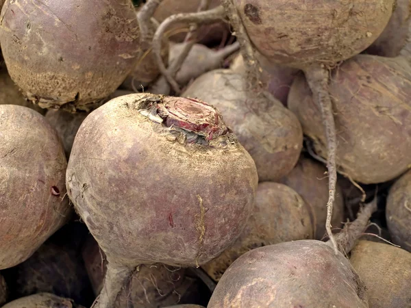 stock image Beetroot