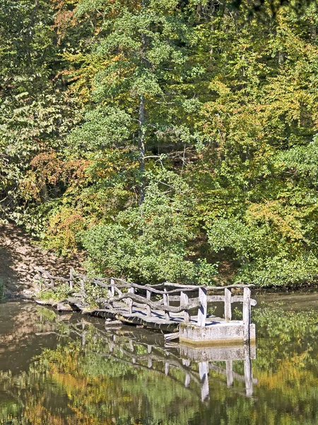 stock image Old bridge at a lake