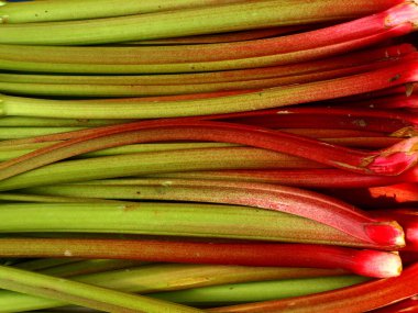 Rhubarb clipart