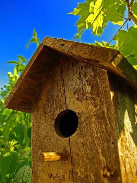 Птичий дом — стоковое фото