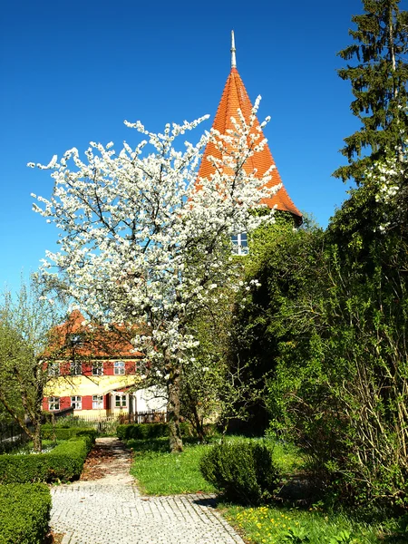 Alman şehir dinkelsbuehl, ortaçağ şehir duvar