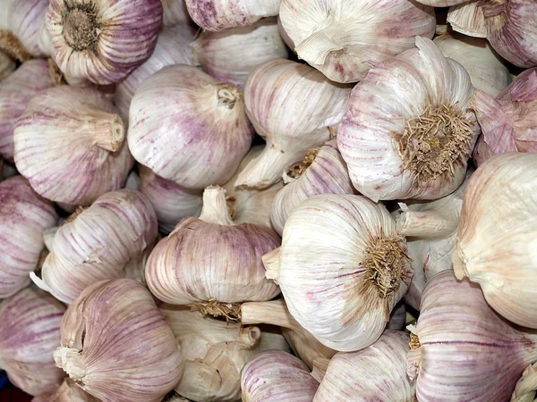 stock image Garlic