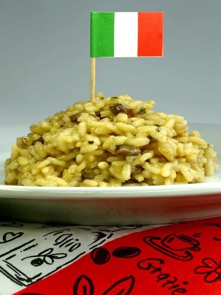 Risotto gastronomico italiano — Foto Stock