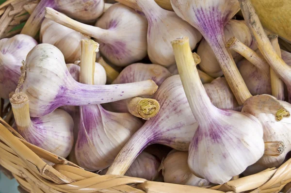 stock image Garlic