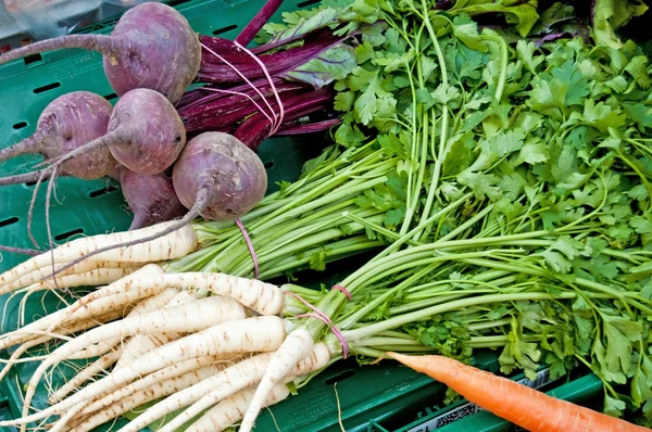 Parsley root and beetroot — Stock Photo, Image