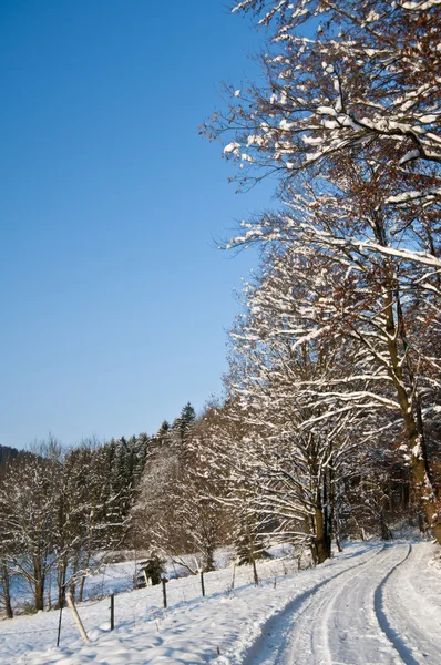 Invierno — Foto de Stock