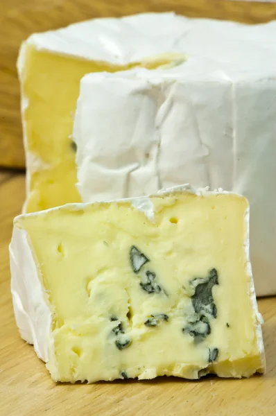 Mold cheese — Stock Photo, Image