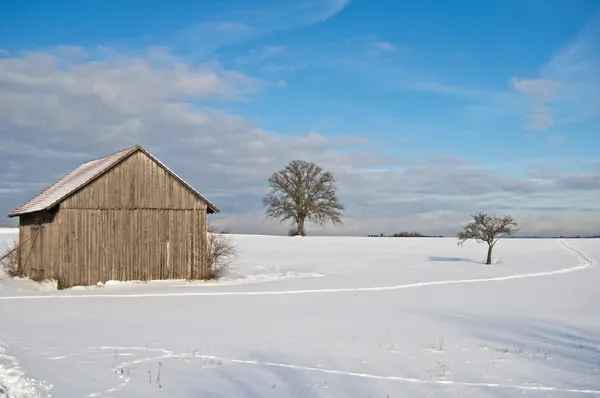 Зимова сцена з сараєм — стокове фото