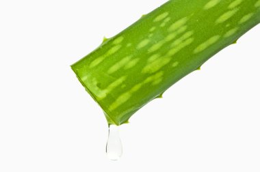 bir damla ile aloe vera