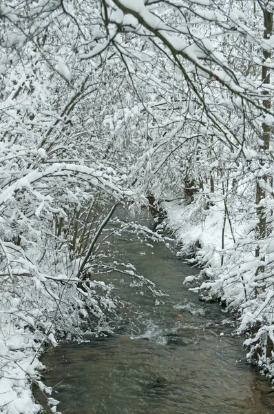 stock image winter scene with snowy creek