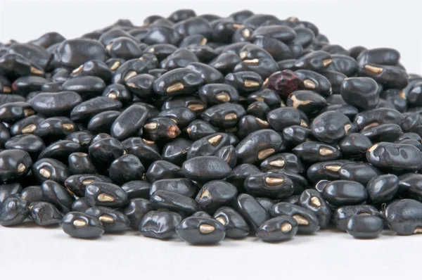 Siyah soya fasulyesi — Stok fotoğraf