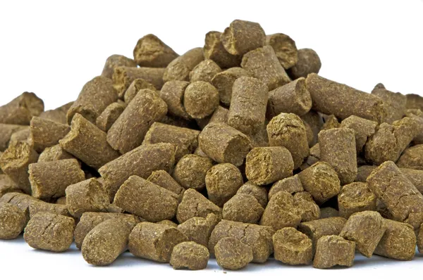 stock image Hops pellets for brewery