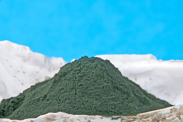 stock image Spirulina