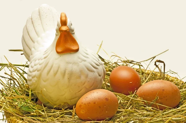 एका घरात कोंबडीसह अंडी — स्टॉक फोटो, इमेज